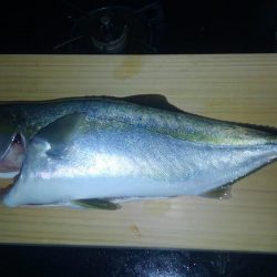 終日、潮止まり？