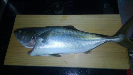 終日、潮止まり？