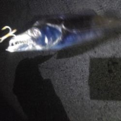 ダメダメからの救い