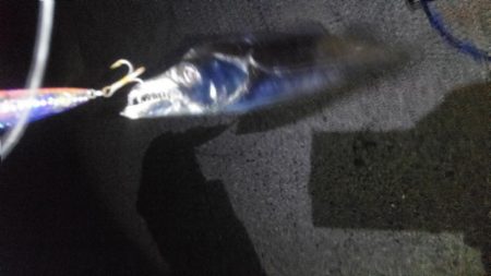 ダメダメからの救い