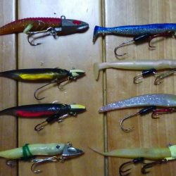 昨日は休みを取って行ったのに朝から芦屋南浜はぎっしり満員何とか一人入れるスペースがありましたが