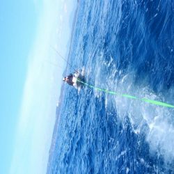 アカハタボート