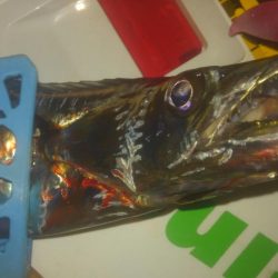 ワインド、プチアジング