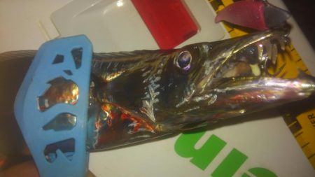 ワインド、プチアジング