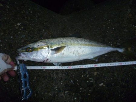 朝練(今週３回目）