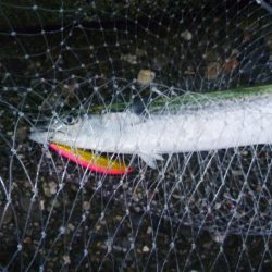 朝練　60分1本勝負！！