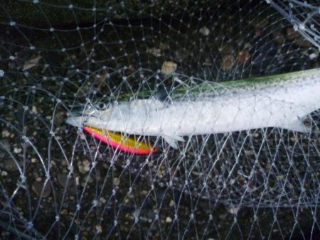 朝練　60分1本勝負！！