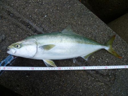 ノマセ師に負けるなルアーマン！