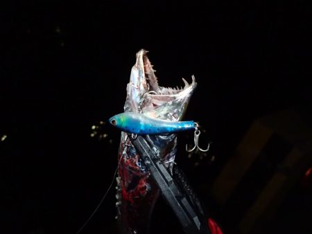 大人の夜遊び♪