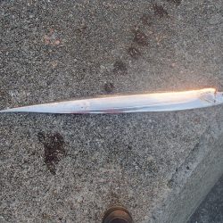 西宮ケーソン釣行