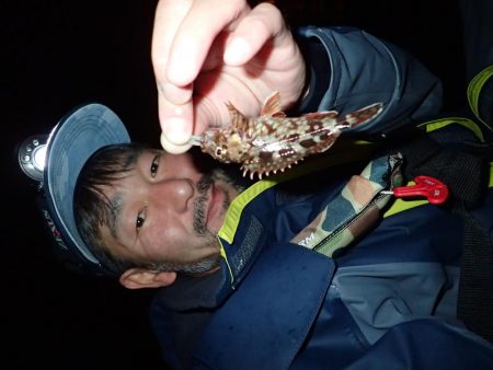 湾奧ジャンボを求めて！