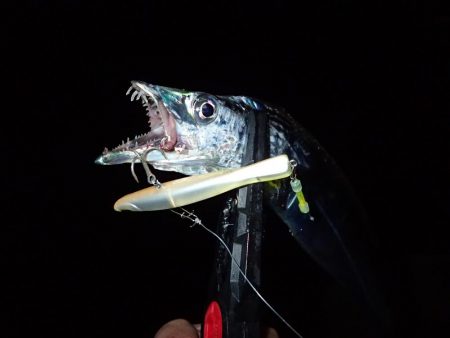 遅めのラッシュタイムにウハウハ♪