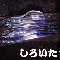 12日の兵庫突提に行ってきました。