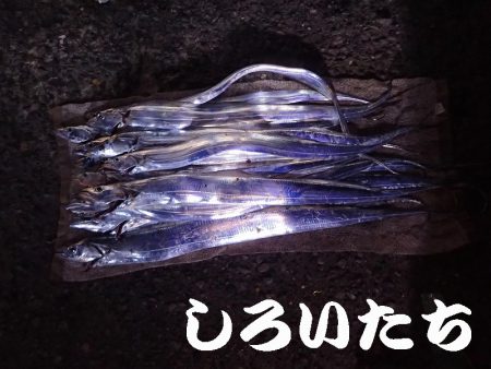 １２日の兵庫突提に行ってきました。