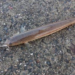 強風の陣-寒さとの闘い-