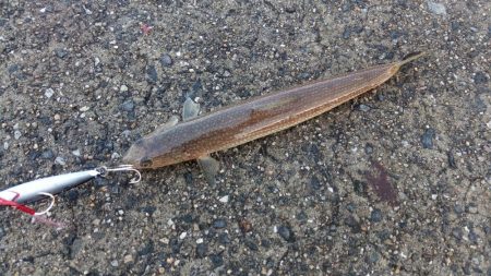 強風の陣-寒さとの闘い-