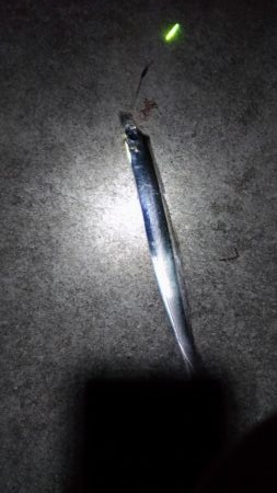 極寒の太刀魚釣り