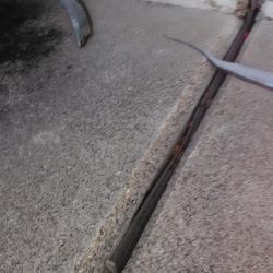 ルアーでキビレ　タチウオ地合い短め