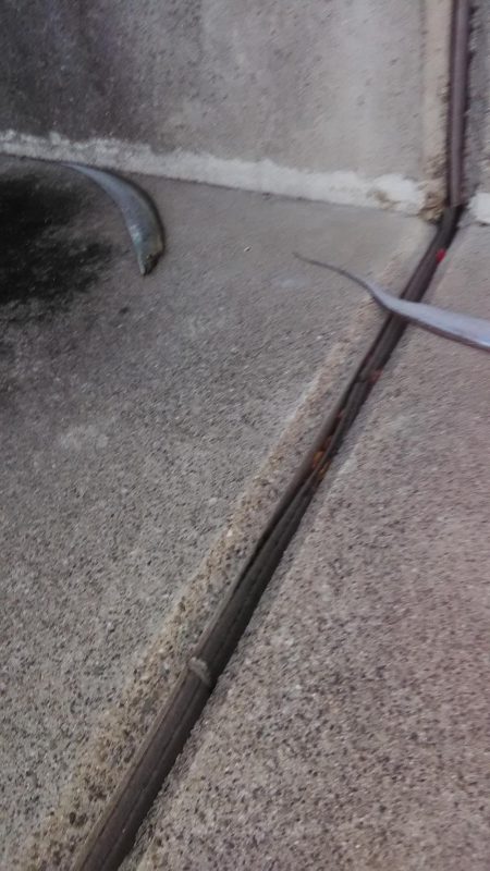 ルアーでキビレ　タチウオ地合い短め