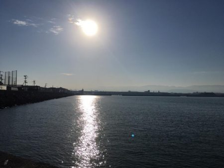 大阪岸和田忠岡の貯木場でヘチ釣り後にショアジギングでハマチをゲット！！