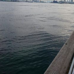 １週間ぶりにシーサイドコスモ