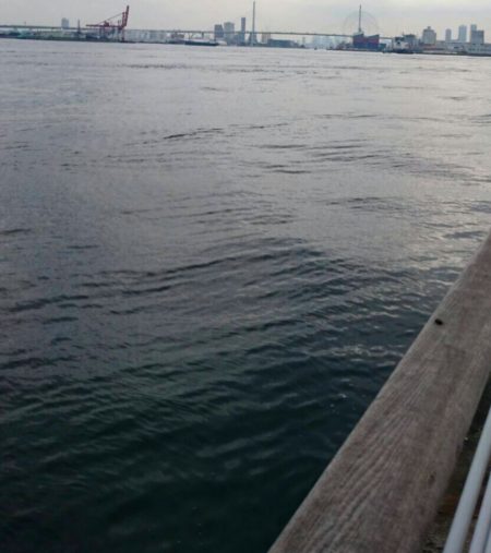 １週間ぶりにシーサイドコスモ