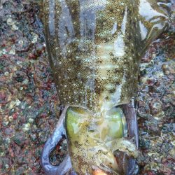 魚釣りの合間に❗