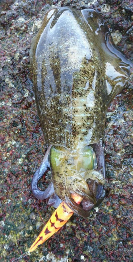 魚釣りの合間に❗