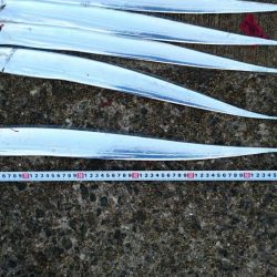 タチウオまだまだ好調持続中!