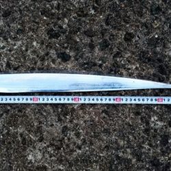 ◯なんとか１匹