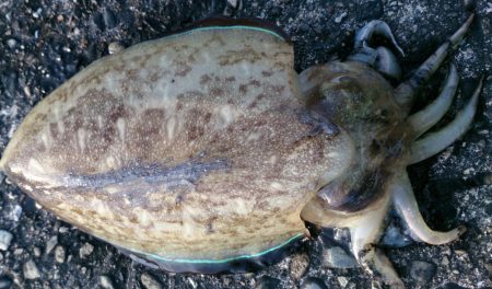 今日も風が強かった