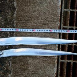 タチウオ継続中