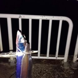 ◯やっぱり渋いな