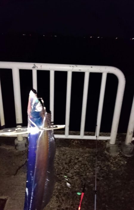 ◯やっぱり渋いな