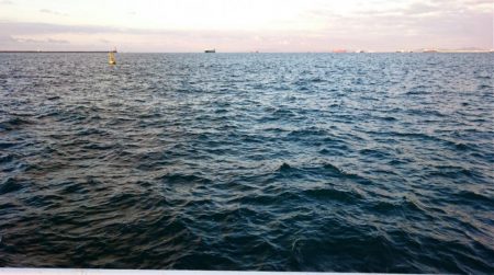 ◯タチウオこのまま終了か！？