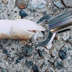 タイミング重要