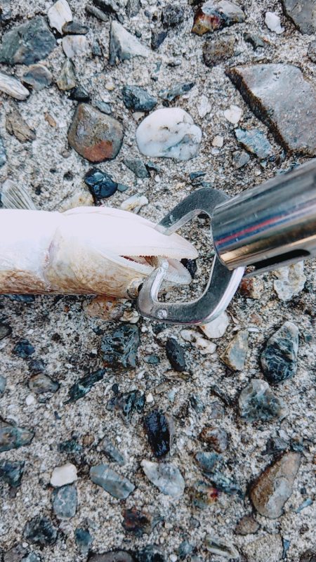 タイミング重要