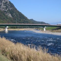 狩野川(狩野川漁業協同組合) 釣果