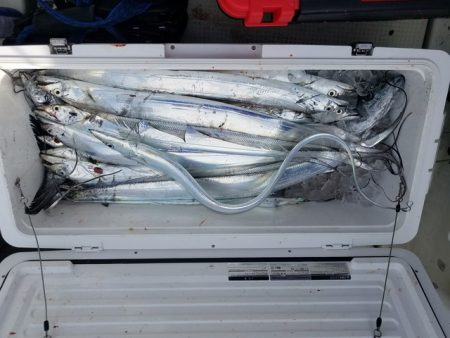 遊漁船　ニライカナイ 釣果