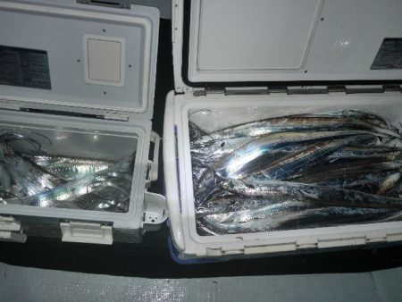 TOPGUN名古屋 釣果