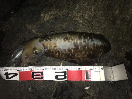 南紀でひさびさにキロアップ