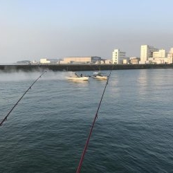 今日は、明石の西