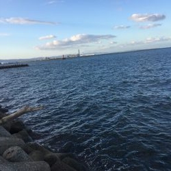 バラシばっかり…