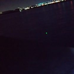 タチウオのつもりが