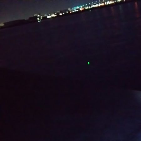 タチウオのつもりが