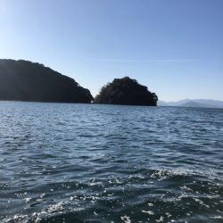 波風が厳しい時期に