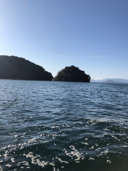 波風が厳しい時期に