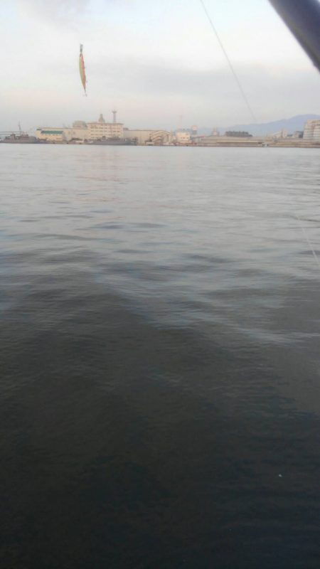 え？タチウオ少なっ