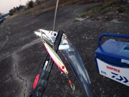 夢フィッシングさんで沖堤防！