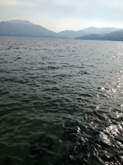 久しぶりのキス釣行